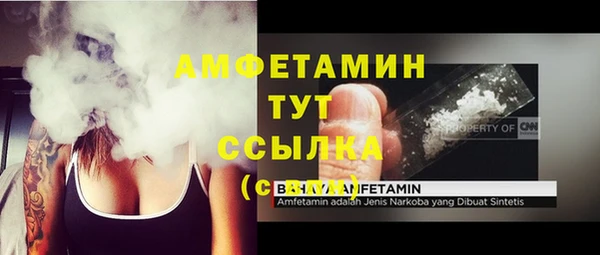 соль ск Абаза