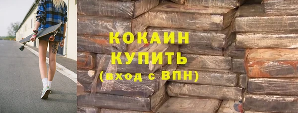 соль ск Абаза